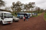 Tourist buses at the tortoise conservation area, Galapagos Islands