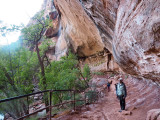 Zion NP - On the trail to the Emerald Pools