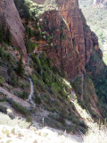 Zion NP - Heading down the East Rim Trail to the valley