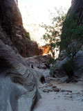 Zion NP - East Rim trail, Echo Canyon area