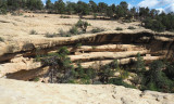 Granaries in a cliff side at Mesa Verde NP