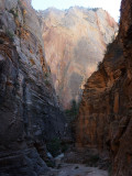 Zion NP - View into Echo Canyon on the East Rim Trail