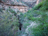 The East Rim Trail, Zion NP