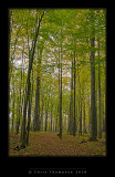 VIMG0910 copy.jpg
