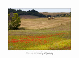  05 2017 B IMG_7820 Toscane campagne .jpg