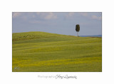  05 2017 B IMG_7986 Toscane campagne .jpg