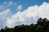 DSC09061.jpg