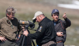 Watching Snowy Owls