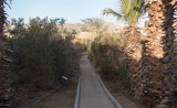 Eilat Banding Station