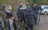 Birders at Ottenby