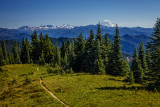 Shriner Peak Lookout