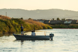 Delta Fishing 17