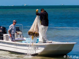 Throw Net Bait Fishing  1