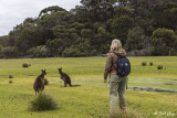 Kangaroo Island  2