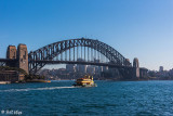 Harbor Bridge, Sydney   1