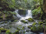 Mt. Field Waterfall 1
