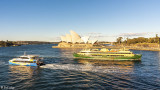 Sydney Harbor  12