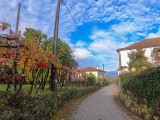 Autumn sky