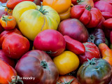 Tomato Fest-04s.jpg