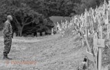 Veteran Paying Respect at Crosses of Lafayette 2017