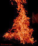 Flames 22. Fire