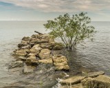 Lake Ontario