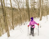 snowshoeing Wesley Hill