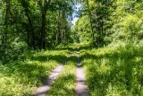 crushed stone trail