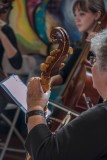 Viola da Gamba