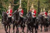 Household Cavalry