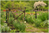 Iron Gate at Cedar Ridge Farm