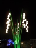 Lyon  Fte des Lumires  Lights Festival