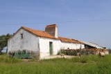 Farm with sheep