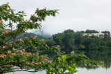 lx100__7140617.jpg