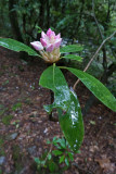 lx100__7140674.jpg