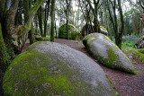Sintra's Mountain