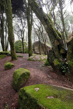 Sintra's Mountain