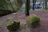 Sintra's Mountain