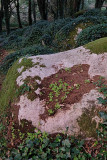 Sintra's Mountain