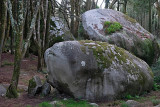Sintra's Mountain