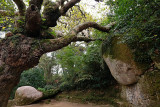 Sintra, Capuchos Convent