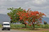Swaziland, from Kruger Park to Santa Lúcia