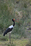 Kruger Park