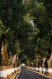 Marvão, Road N2461, Portugal