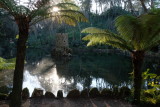 Pena Palace garden