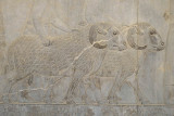 Persepolis