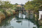 Wuzhen 8