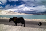 Baisha Lake 2