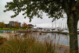Bronte Harbour 3
