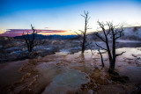 _MG_4460.jpg